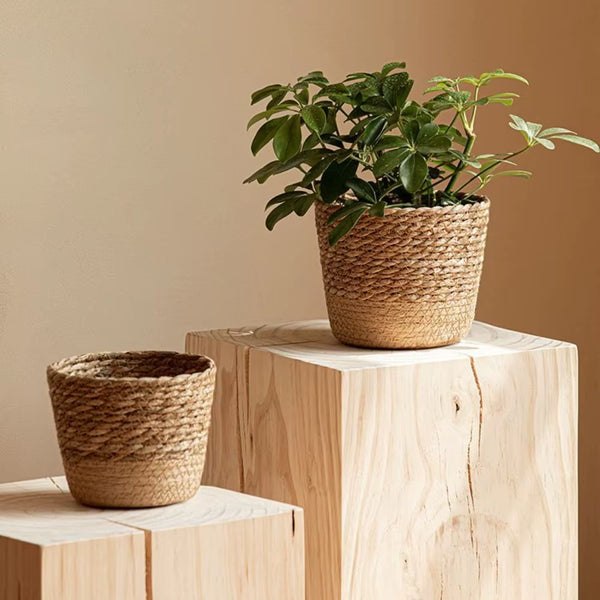 Woven Wicker Plant Basket - Natural Indoor Planter
