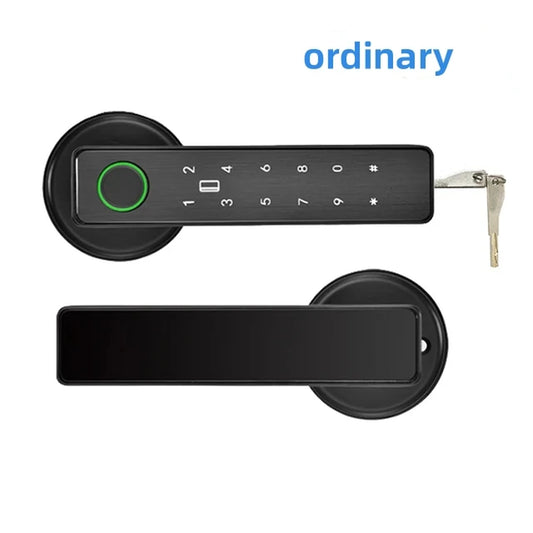 Tuya APP Remote Control Wifi Electronic Smart Door Lock with Biometric Camera Fingerprint Smart Card Password Key Unlock