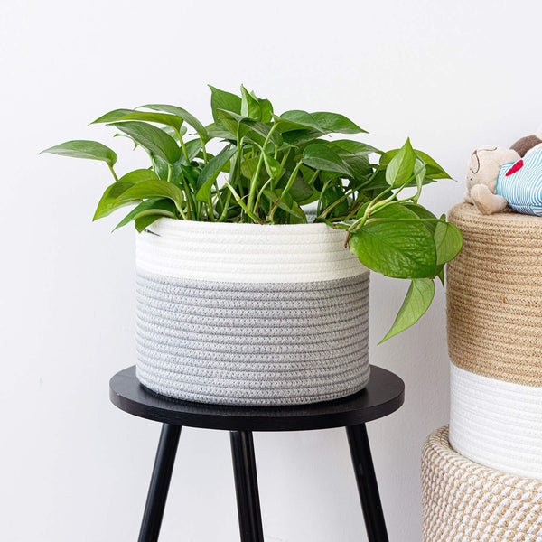 Small Cotton Rope Storage Basket - Shelf & Toy Organizer