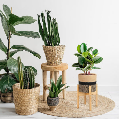 Plant Basket with Stand Indoor Planter Pot Holder Sturdy Jute Rope Modern Woven Basket, Cotton Rope Woven Pot with Bamboo Stand(7.87 Inch,Black and Beige Stripes)
