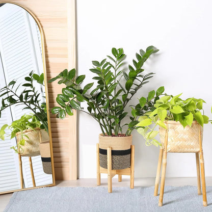 Plant Basket with Stand Indoor Planter Pot Holder Sturdy Jute Rope Modern Woven Basket, Cotton Rope Woven Pot with Bamboo Stand(7.87 Inch,Black and Beige Stripes)